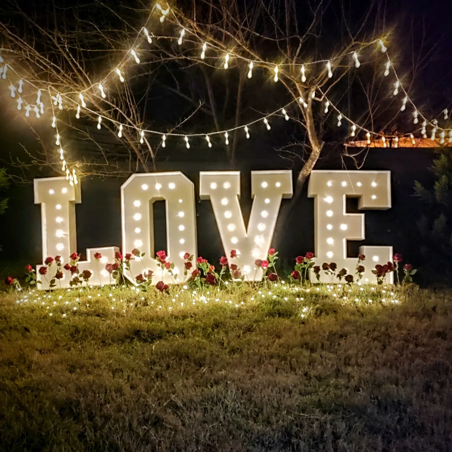 Aydın Evlilik Teklifi